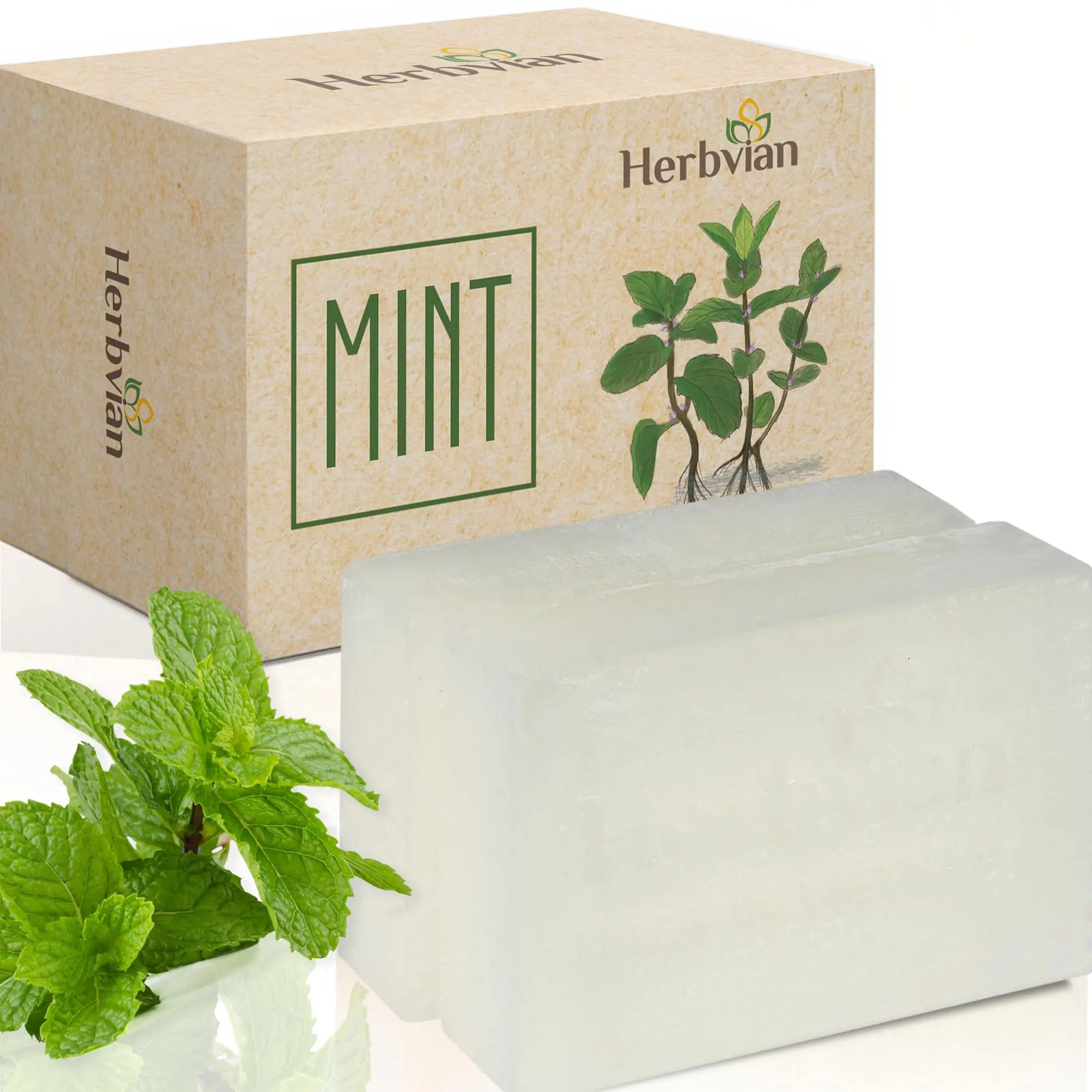 Peppermint Mint Soap Bars – Moisturizing Face & Body Cleanser with Coconut Oil for Acne, Men & Women (2-Pack)